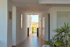 IMG-20250316-WA0014